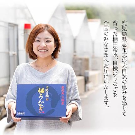 鹿児島県志布志市のふるさと納税 【定期便全3回】お手軽に楽しめるうなぎ定期便！（計1.04kg以上）t0046-004