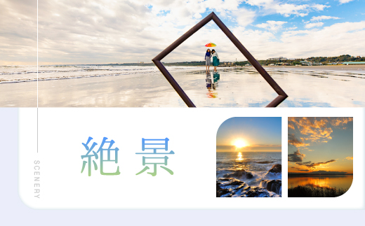 茨城県大洗町のふるさと納税 大洗町 共通 宿泊 クーポン 3,000円分 関東 茨城