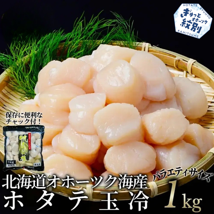 20-330 北海道オホーツク海産ホタテ玉