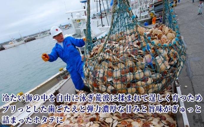 北海道紋別市のふるさと納税 22-146 北海道オホーツク海産ホタテ玉冷バラエティサイズ(1kg)｜ 訳あり サイズ不揃い