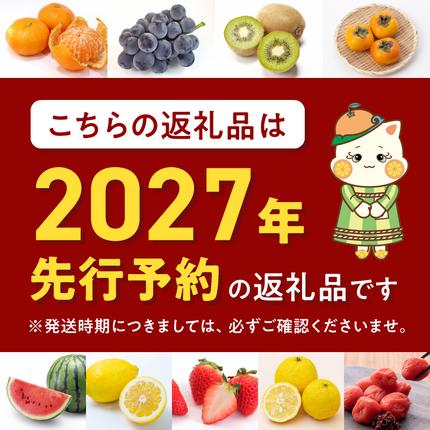 和歌山県湯浅町のふるさと納税 ZE6497_【2027年先行予約】【まごころ手選別】　せとか　化粧箱入り　(13～15玉)
