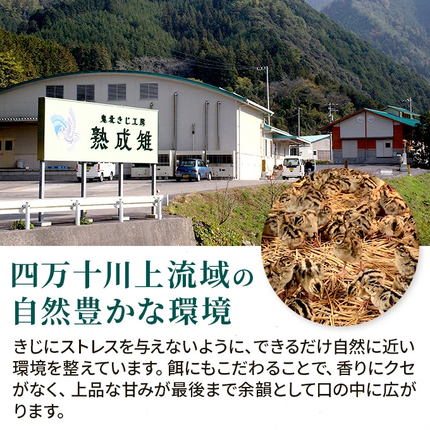 愛媛県鬼北町のふるさと納税 ＜ふるさと納税限定＞きじ丸鶏1羽（約900g） ◇ ｜ キジ肉 雉 きじ キジ ジビエ とり 鶏肉 パーティー ムネ モモ ササミ 秋 冬 熟成 加工品 愛媛県 鬼北町　※離島への配送不可