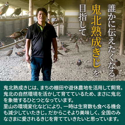 愛媛県鬼北町のふるさと納税 ＜ふるさと納税限定＞きじ丸鶏1羽（約900g） ◇ ｜ キジ肉 雉 きじ キジ ジビエ とり 鶏肉 パーティー ムネ モモ ササミ 秋 冬 熟成 加工品 愛媛県 鬼北町　※離島への配送不可