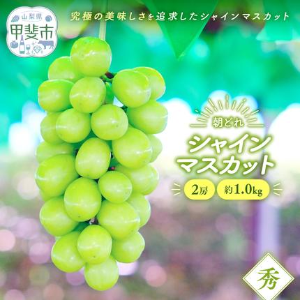 [2026年分発送] 山梨県産 シャインマスカット 2房 約1.0kg 先行予約 AV-2