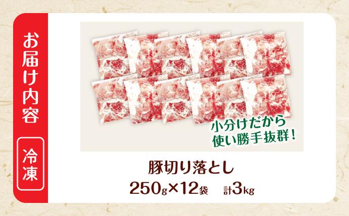 宮崎県日南市のふるさと納税 大人気 生冷凍 厳選 豚切り落とし 計3kg 国産 食品 豚肉 ぶた ポーク 小分け 個包装 真空パック 便利 大容量 生姜焼き 野菜炒め 豚汁 肉じゃが 豚丼 お弁当 おかず 晩ご飯 おすすめ 使い切りサイズ 万能食材 おすそ分け 宮崎県 日南市 送料無料_CB111-25-2W
