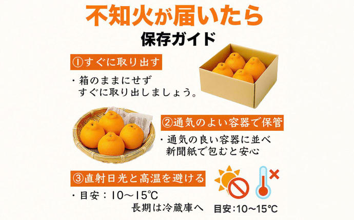 熊本県八代市のふるさと納税 【先行予約】 不知火 デコみかん (デコポン同品種) 約3kg (6～13玉) フルーツ くだもの 果物 みかん 蜜柑 ミカン 柑橘 おやつ デザート 旬 熊本県 八代市 【2027年2月上旬より順次発送】