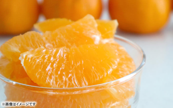 熊本県八代市のふるさと納税 不知火（デコポンと同品種） 約3kg しらぬい でこみかん 柑橘 ミカン ポンカン くだもの 果物 フルーツ