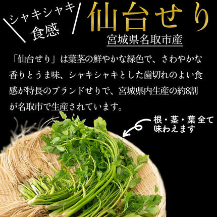 宮城県名取市のふるさと納税 鍋【期間限定】【お届け日時指定必須（10月1日以降お届け）】 仙台せり鍋セット 美味なる根っこ（2～3人前） 漁亭 浜や 名取名産 美味なる根っこを食す