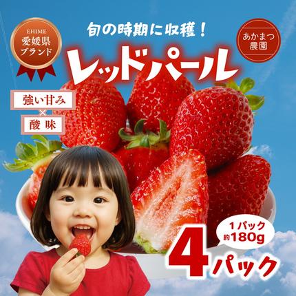 【2027年春収穫分】レッドパール 4パッ