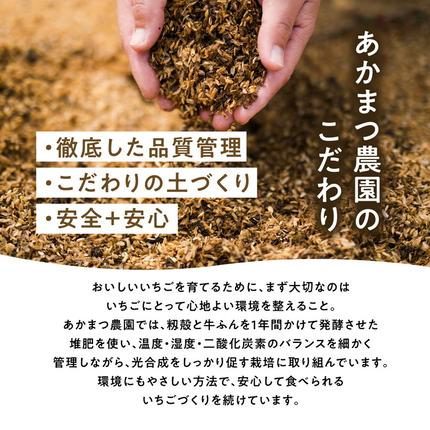 愛媛県鬼北町のふるさと納税 【2027年春収穫分】レッドパール 4パック（約720g） | いちご イチゴ 苺 大福 ジャム タルト アイス ケーキ ギフト あかまつ農園 ※2027年2月～発送