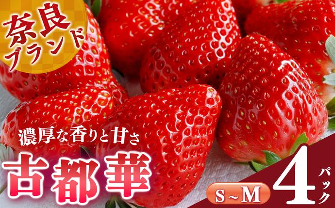 平群の古都華 S〜Mサイズ (2パック×2ケース)計4パック 阪野農園 | 果物 くだもの フルーツ 苺 イチゴ いちご ストロベリー 古都華 ことか 旬の品種 産地直送 奈良県 平群町