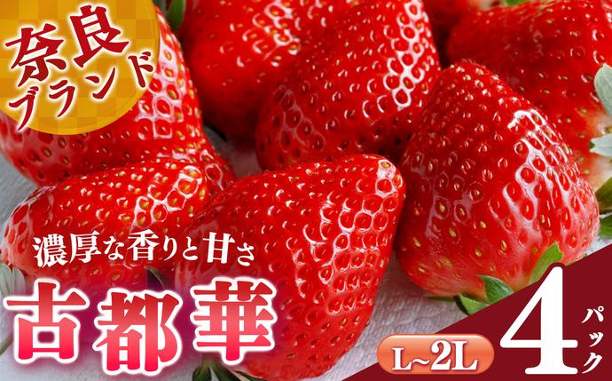 平群の古都華 L〜2Lサイズ (2パック 2ケース)計4パック 阪野農園 | 果物 くだもの フルーツ 苺 イチゴ いちご ストロベリー 古都華 ことか 旬の品種 産地直送 奈良県 平群町