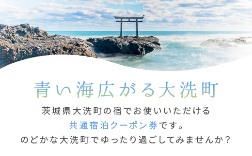茨城県大洗町のふるさと納税 大洗町 共通 宿泊 クーポン 24,000円分（3,000円×8枚） 関東 茨城