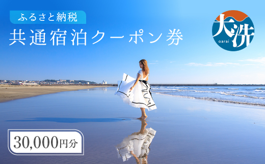 茨城県大洗町のふるさと納税 大洗町 共通 宿泊 クーポン 30,000円分（3,000円×10枚） 関東 茨城