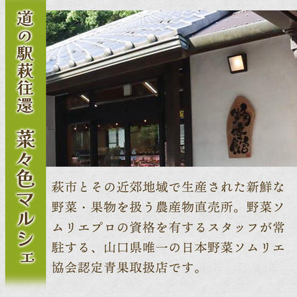 山口県萩市のふるさと納税 野菜ソムリエプロselect／萩・季節の食材定期便 隔月発送・3回コース