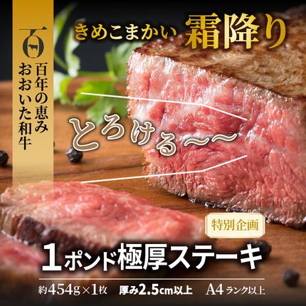 大分県国東市のふるさと納税 【A4～A5等級】まさに〃肉のエアーズロック〃おおいた和牛１ポンド極厚ステーキ・通_29365A