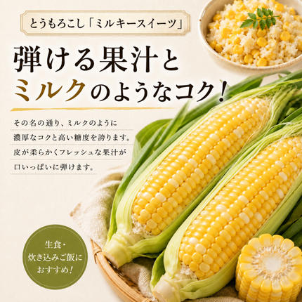 北海道幕別町のふるさと納税 小笠原農園の有機とうもろこし「ミルキースイーツ」10本【北海道十勝幕別】《2027年8月出荷開始先行予約》【 スイートコーン コーン とうもろこし とうきび 黄色 野菜 夏 北海道 幕別町 】