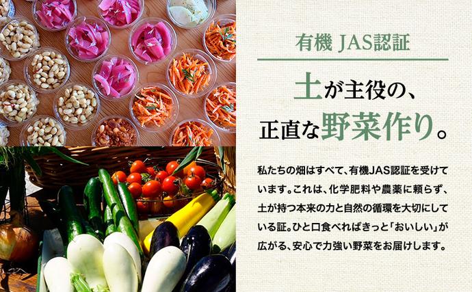 北海道幕別町のふるさと納税 小笠原農園の有機とうもろこし「ミルキースイーツ」10本【北海道十勝幕別】《2026年8月出荷開始先行予約》【 スイートコーン コーン とうもろこし とうきび 黄色 野菜 夏 北海道 幕別町 】
