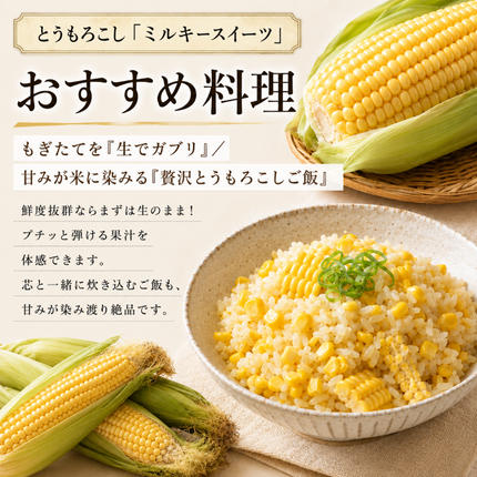 北海道幕別町のふるさと納税 小笠原農園の有機とうもろこし「ミルキースイーツ」10本【北海道十勝幕別】《2027年8月出荷開始先行予約》【 スイートコーン コーン とうもろこし とうきび 黄色 野菜 夏 北海道 幕別町 】