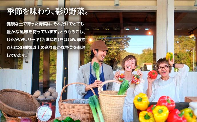 北海道幕別町のふるさと納税 小笠原農園の有機とうもろこし「ミルキースイーツ」10本【北海道十勝幕別】《2026年8月出荷開始先行予約》【 スイートコーン コーン とうもろこし とうきび 黄色 野菜 夏 北海道 幕別町 】