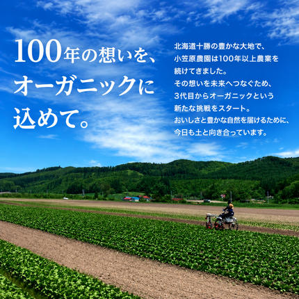 北海道幕別町のふるさと納税 小笠原農園の有機とうもろこし「ミルキースイーツ」10本【北海道十勝幕別】《2027年8月出荷開始先行予約》【 スイートコーン コーン とうもろこし とうきび 黄色 野菜 夏 北海道 幕別町 】