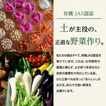 北海道幕別町のふるさと納税 小笠原農園の有機とうもろこし「ミルキースイーツ」10本【北海道十勝幕別】《2027年8月出荷開始先行予約》【 スイートコーン コーン とうもろこし とうきび 黄色 野菜 夏 北海道 幕別町 】