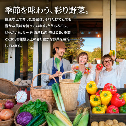 北海道幕別町のふるさと納税 小笠原農園の有機とうもろこし「ミルキースイーツ」10本【北海道十勝幕別】《2027年8月出荷開始先行予約》【 スイートコーン コーン とうもろこし とうきび 黄色 野菜 夏 北海道 幕別町 】