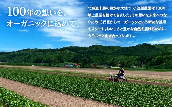 北海道幕別町のふるさと納税 小笠原農園の有機野菜 定期便 夏「とうもろこし」ミルキースイーツ24本・秋「じゃがいも2種」とうや12kg・北海こがね12kg《2026年8月出荷開始》北海道 十勝 幕別【 スイートコーン 芋 セット 野菜 】
