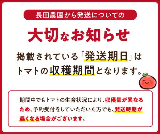 愛知県碧南市のふるさと納税 【お試し】 たった3ヶ月しか食べられない 幻 フルーツ トマト ファーストトマト 容量 約700g 特に美味しい 3月 ～ 5月 限定発送 長田農園 完全木熟栽培 果皮 薄い もっちり食感 甘い リコピン 野菜 碧南市 送料無料 H004-182
