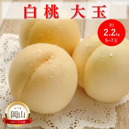 岡山県高梁市のふるさと納税 2026年 早期受付 岡山県産 白桃 大玉 (約2.2kg) 5～7玉 桃 もも 果物 フルーツ