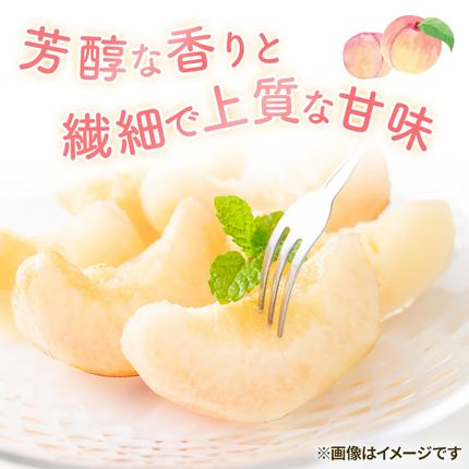岡山県高梁市のふるさと納税 2026年 早期受付 岡山県産 白桃 大玉 (約2.2kg) 5～7玉 桃 もも 果物 フルーツ