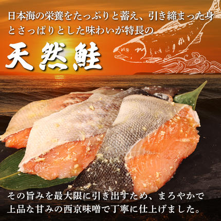 北海道羽幌町のふるさと納税 【北海道産】厚切り天然鮭西京漬け 計24枚（4枚×6パック）【0214401】