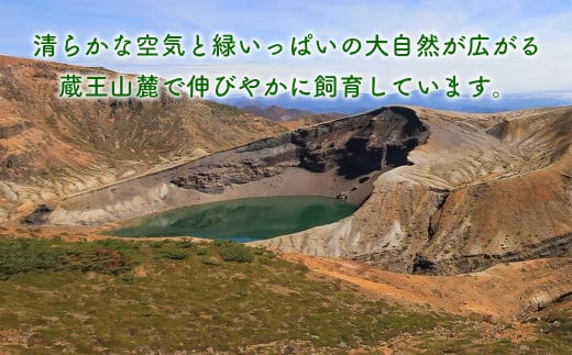 宮城県蔵王町のふるさと納税 蔵王鴨 仙台せり鍋セット2～3人前　【04301-0121】 鍋 せり鍋 鍋セット せり 鴨 簡単 本場 お取り寄せグルメ 蔵王