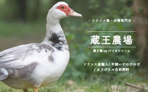 宮城県蔵王町のふるさと納税 蔵王鴨 仙台せり鍋セット2～3人前　【04301-0121】 鍋 せり鍋 鍋セット せり 鴨 簡単 本場 お取り寄せグルメ 蔵王