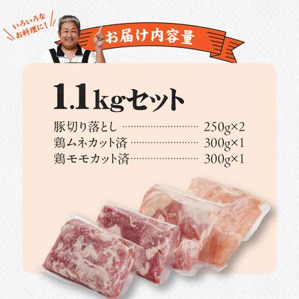 宮崎県都城市のふるさと納税 使いやすさ抜群!宮崎県産鶏肉(カット済)&豚肉切り落とし1.1kgセット_LF-8401