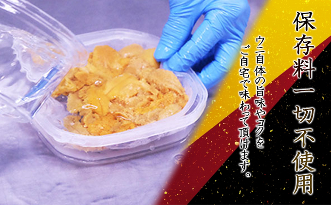 北海道洞爺湖町のふるさと納税 北海道 塩水 ウニ 100g 3パック 1月下旬頃～3月末頃まで順次出荷 バフン ムラサキ うに 雲丹 海鮮 ミョウバン不使用 小川商店