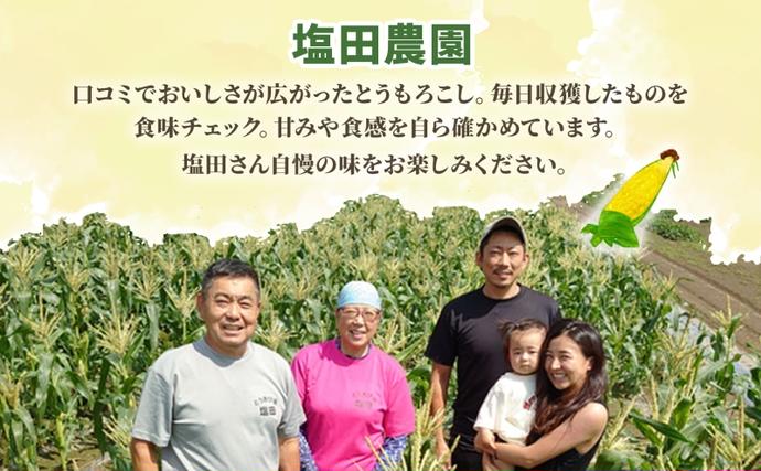 北海道洞爺湖町のふるさと納税 北海道産 とうもろこし 恵味 ゴールド 2L 8本 8月中旬～9月下旬頃お届け 朝採り 恵味 めぐみトウモロコシ スイート コーン 甘い 新鮮 先行受付 夏 野菜 産地直送 塩田農園 送料無料 北海道 洞爺湖町