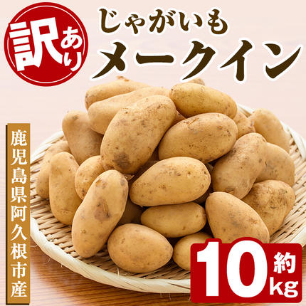 ＜先行予約受付中！2026年5月下旬以降順