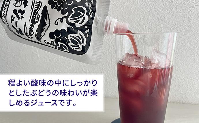 青森県鶴田町のふるさと納税 道の駅つるた オリジナル スチューベンジュース パウチパック 180g × 5パック ジュース ぶどう スチューベン パウチタイプ 青森県 鶴田町