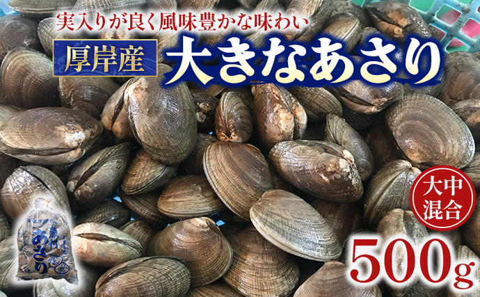 北海道 厚岸産 あさり 500g×1パック (合計500g) 大中混合 アサリ 魚貝