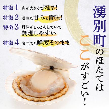 北海道湧別町のふるさと納税 【最短当日発送】北海道オホーツク 湧別沖 ほたて 玉冷小分け パック  600g（300g×2P）【 ホタテ 帆立 ほたて スタンドパック 海鮮 刺身 貝 貝柱 魚介 魚介類 冷凍 北海道 湧別町 】