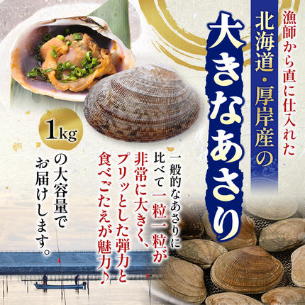 北海道 厚岸産 あさり 500g×1パック (合計500g) 大中混合 アサリ 魚貝
