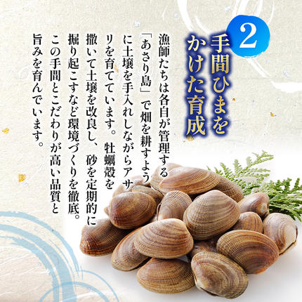 北海道 厚岸産 あさり 500g×1パック (合計500g) 大中混合 アサリ 魚貝