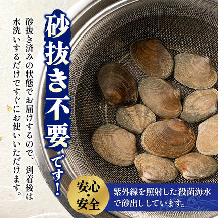 北海道 厚岸産 あさり 500g×1パック (合計500g) 大中混合 アサリ 魚貝