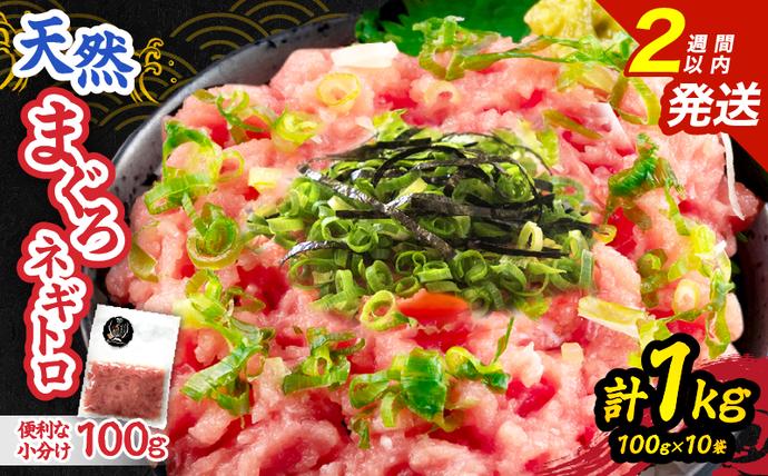 日南市油津港水揚げ 天然 まぐろ ネギトロ