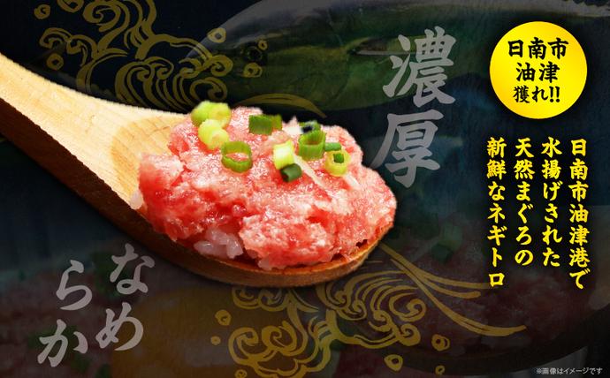 宮崎県日南市のふるさと納税 日南市油津港水揚げ 天然 まぐろ ネギトロ 計1kg 魚 魚介 マグロ 鮪 赤身 maguro 小分け 食品 加工品 国産 キハダマグロ まぐろたたき 個包装 おかず ねぎとろ丼 海鮮丼 手巻き寿司 おつまみ 冷凍 おすすめ 海産物 海鮮 宮崎県 日南市 送料無料_BC121-25