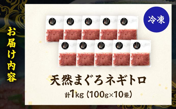 宮崎県日南市のふるさと納税 日南市油津港水揚げ 天然 まぐろ ネギトロ 計1kg 魚 魚介 マグロ 鮪 赤身 maguro 小分け 食品 加工品 国産 キハダマグロ まぐろたたき 個包装 おかず ねぎとろ丼 海鮮丼 手巻き寿司 おつまみ 冷凍 おすすめ 海産物 海鮮 宮崎県 日南市 送料無料_BC121-25
