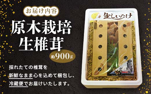 北海道今金町のふるさと納税 原木栽培 生椎茸 約900g 里の恵 しいたけ シイタケ きのこ キノコ 椎茸 野菜 F21W-259