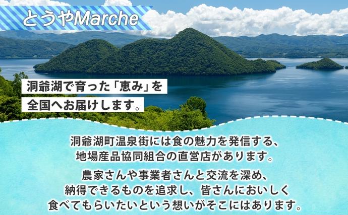 北海道洞爺湖町のふるさと納税 北海道産 活ほたて 2年貝 約 2kg 15枚～22枚 2026年3月中旬～3月下旬頃お届け 殻付き 帆立 ホタテ ほたて 貝 魚介 海産 海鮮 貝柱 噴火湾 刺身 焼き フライ 生産者支援 産地直送 送料無料 北海道