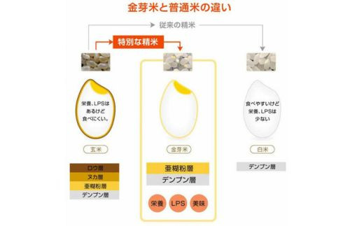 島根県安来市のふるさと納税 【ご愛顧感謝価格】BG無洗米・金芽米にこまる 5kg 計量カップ付き【令和7年産 時短 健康 うまみ 甘み 栄養 おいしい やわらかい ふっくら ビタミン ミネラル 島根県 安来市】【価格改定XC】【09-SS-11】